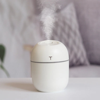 Mini Humidificateur Ultrasonique 220ml — Veilleuse LED, 2 Modes de Brume & Arrêt Auto 3,5h
