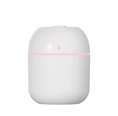 Humidificateur Portable USB 220ml — Brume Anionique, Purificateur d'Air & Diffuseur Arôme