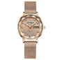 Montre Femme Quartz POEDAGAR 3012 — Acier Inoxydable, Aiguilles Lumineuses, Date & Jour, 3 ATM