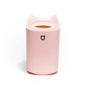 Humidificateur Double Buse 3000ml — Aromathérapie Ultrasonique, LED Ambiance & Multi-Vitesses